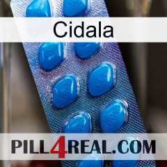 Cidala viagra1